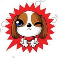 Tianjianghengc's profile picture