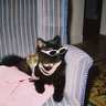aiharah_'s profile picture