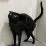 J_Ðåi ʚїɞ profil fotoğrafı