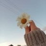 مادلين☆.... 的头像