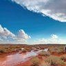 بوح's profile picture