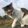 takashisekine profil fotoğrafı