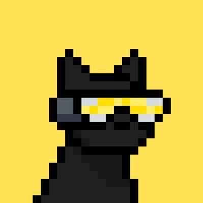 tall_data's profile picture