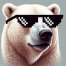 Фото профиля Muslim Polar Bear