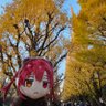 カシワ🏴☠️ profil fotoğrafı