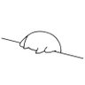 Fir's profile picture