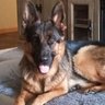 lovemymissygirl profil fotoğrafı