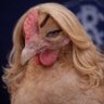 Galyne profil fotoğrafı