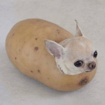 아뇽파삽너끼's profile picture