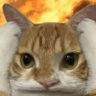 Profilbild von ทีที