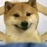 Deva 的头像