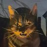 Arrrrrrrach's profile picture