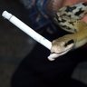 Фото профиля Snek Lietuva