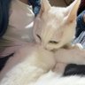 え
、's profile picture