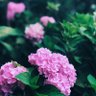 Фото профиля haru13