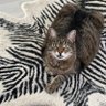 MiekeMuis's profile picture
