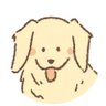 Profilbild von emy