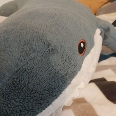 js_femboy's profile picture