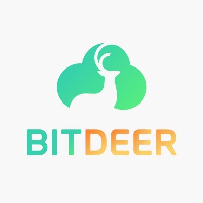 Bitdeer's profile picture