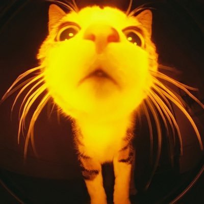 9u_Mung's profile picture