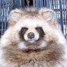 札's profile picture