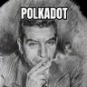 Lucky Luciano🐂⭕️ POLKADOT's profile picture