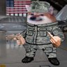 Democratic Republic Freedom Fighter 的头像