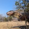 Фото профиля のど飴