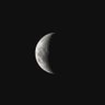 dumplings's profile picture