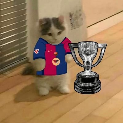BAR devilasxa's profile picture