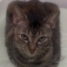 HelenaPereira13's profile picture