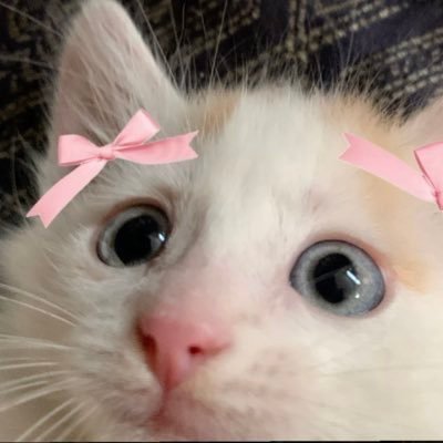 lalaacz's profile picture