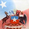 Flaca💪🇨🇱🇨🇱💚💚 的头像