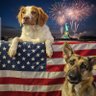 Profilbild von American Dogs