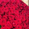 aarya profil fotoğrafı