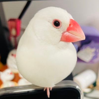 linxu02496400's profile picture