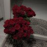Rose 的头像