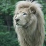 Profilbild von cj ch