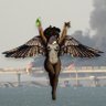 Paeonïplum Housewife Division 🇪🇺🦩🎗️ profil fotoğrafı