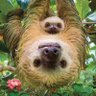 Titch's profile picture
