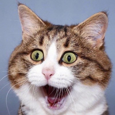 vionaamynda's profile picture