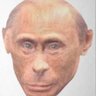 Profilbild von Maximillian Strobl