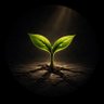 QuietGrowth 的头像