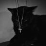 Фото профиля wendel