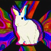 XΞS's profile picture