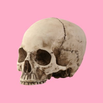 esqueletosgays's profile picture