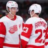 Фото профиля Redwings and Sports things