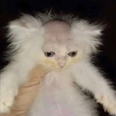 ZAXMainframe's profile picture