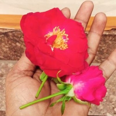 jaani889's profile picture