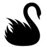 Profilbild von BlackSwan